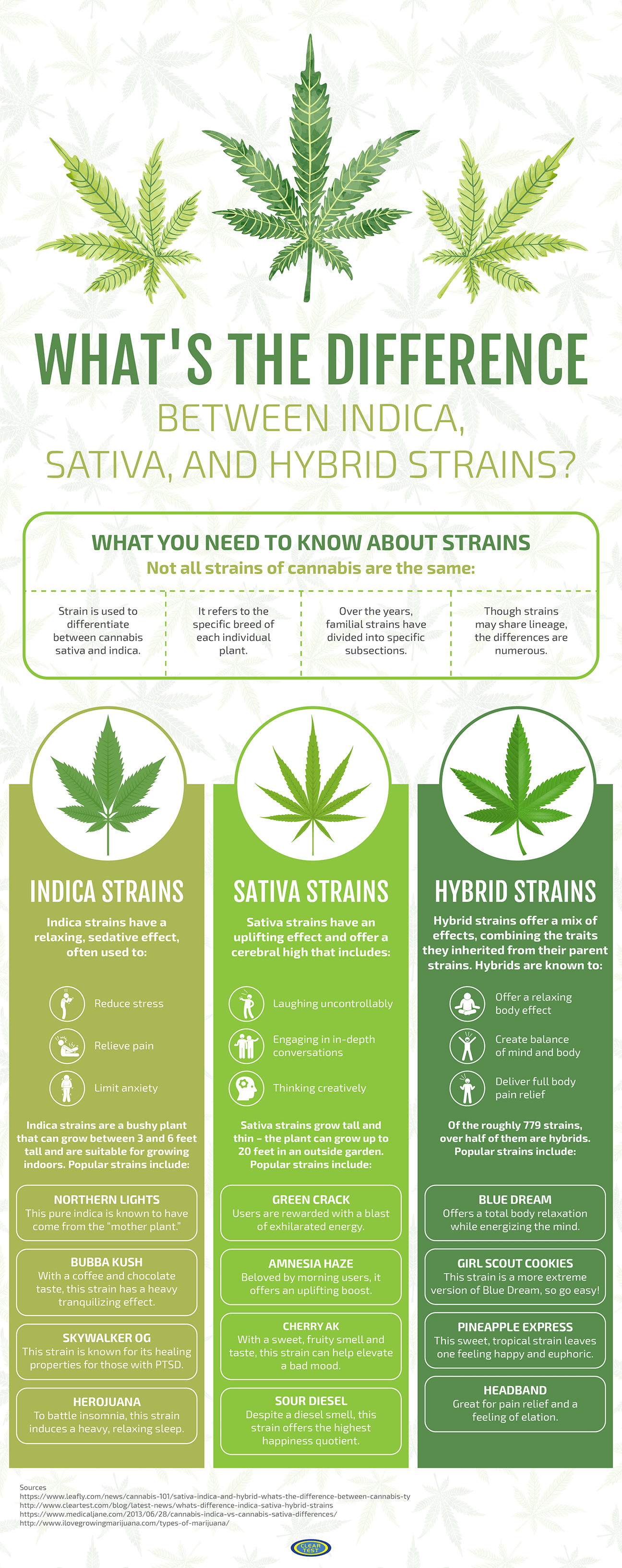 difference-between-indica-sativa-hybrid-strains-infographic