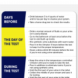 The Day of the Test
