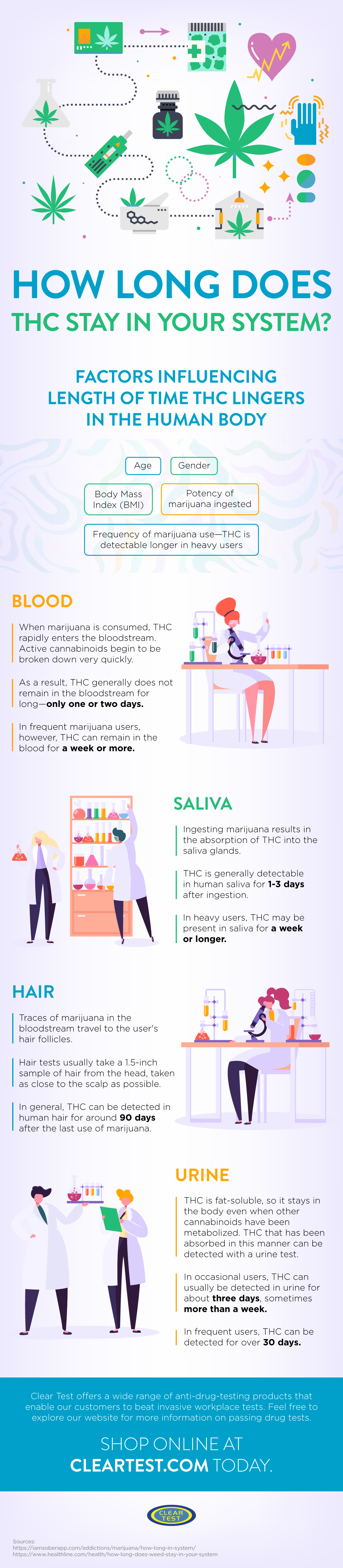 How long does THC stay in your system infographic
